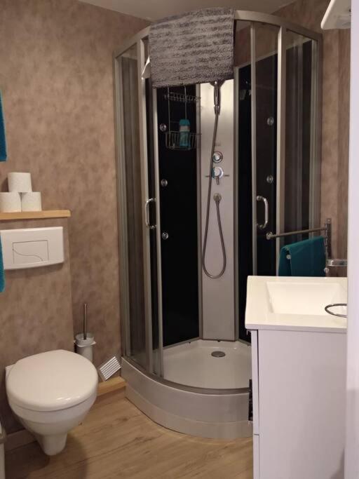 Appartement Centre Ville Rose Тулуза Екстериор снимка