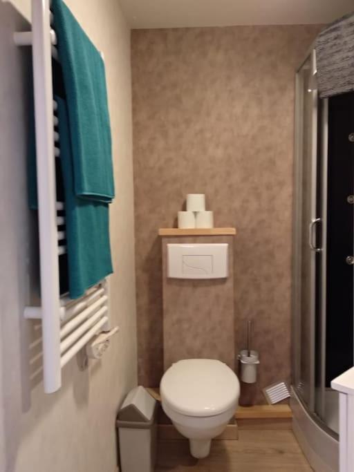 Appartement Centre Ville Rose Тулуза Екстериор снимка